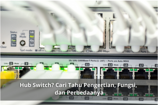Hub Switch? Cari Tahu Pengertian, Fungsi, dan Perbedaanya