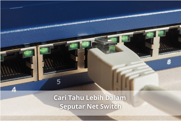 Cari Tahu Lebih Dalam Seputar Net Switch